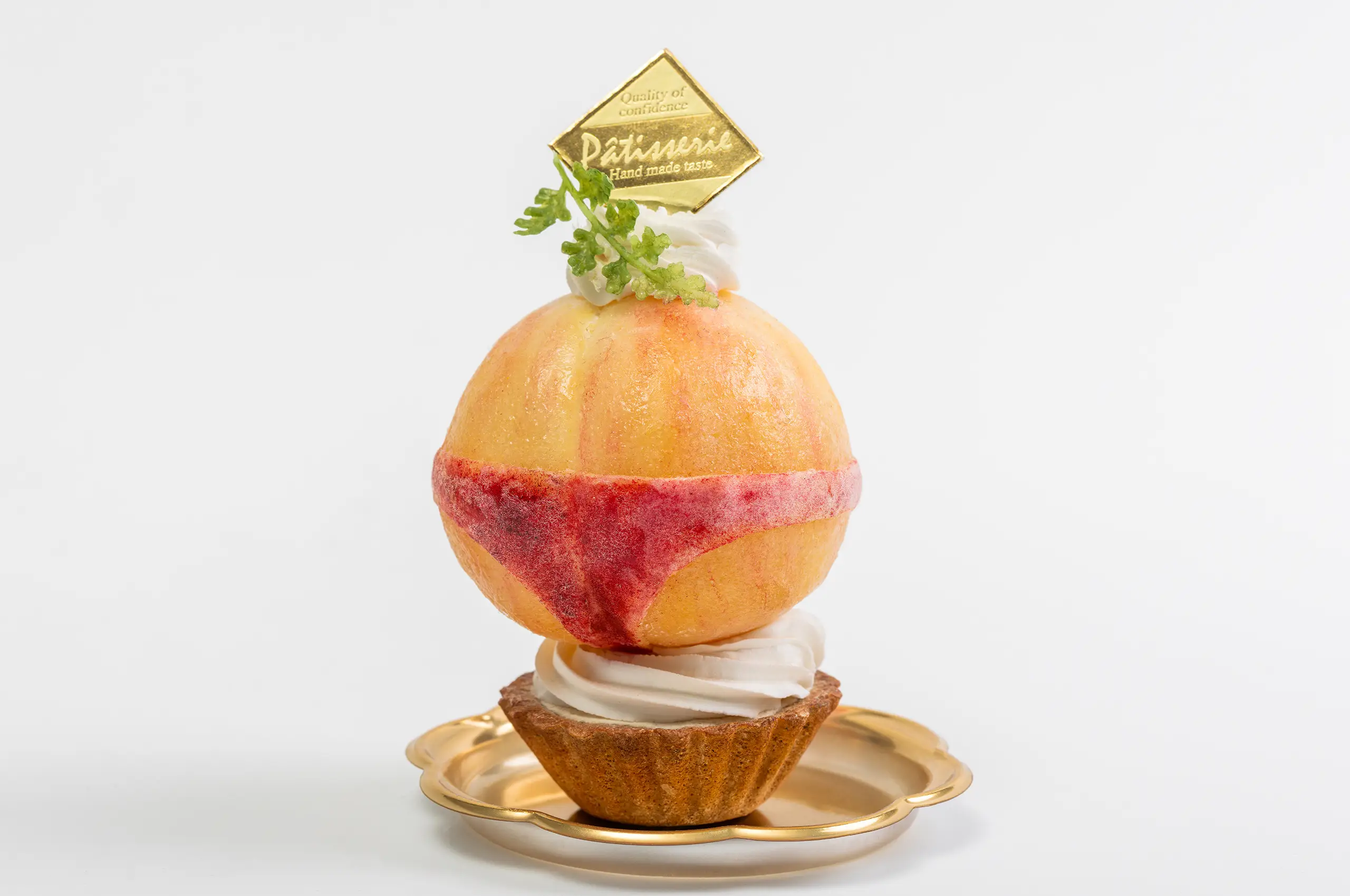 關於盛曜模型事務所 1